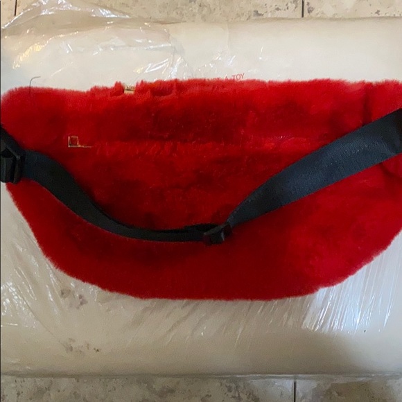 FannyPack - Picture 3 of 4